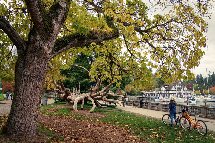 Stanley Park